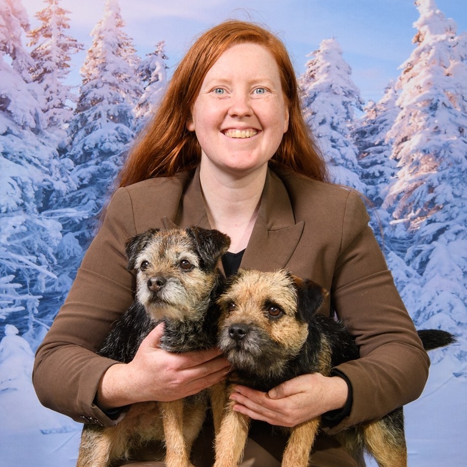 when should you neuter a border terrier