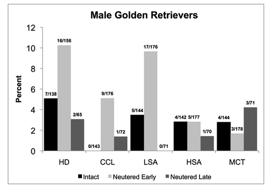 Disease and Desexing in Golden Retriever Males