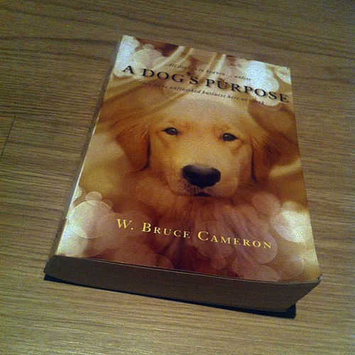 Book, A Dog's Purpose, W. Bruce Cameron