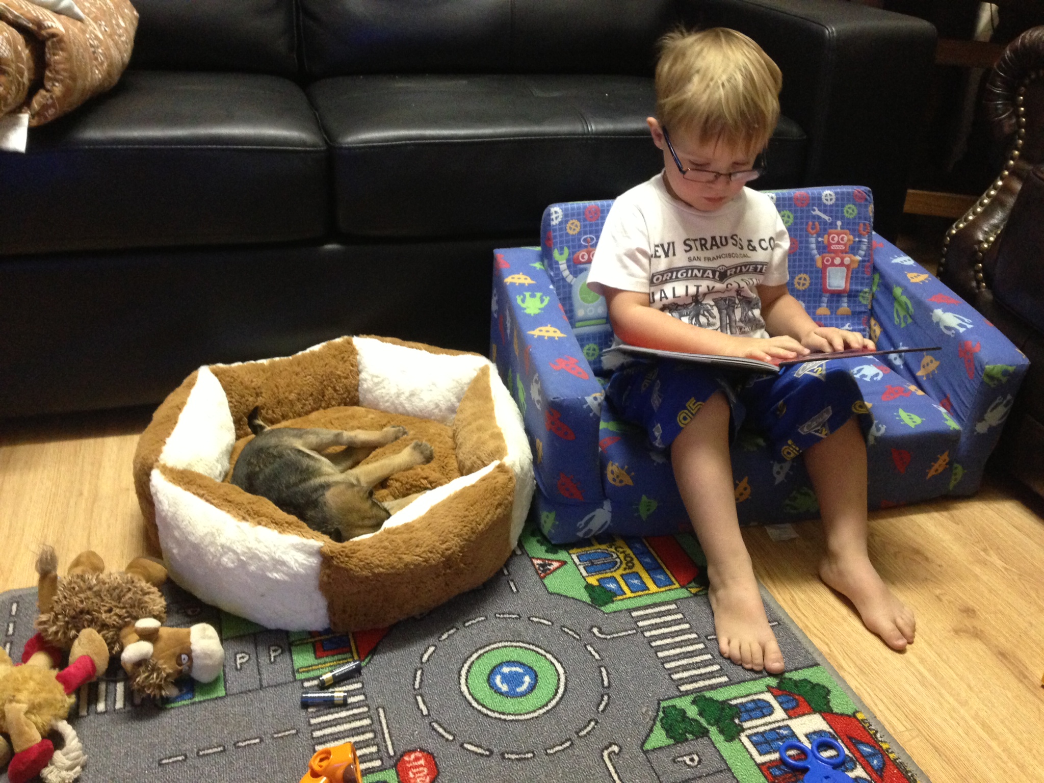 A young border terrier sleeping with a child reading the puppy a story.