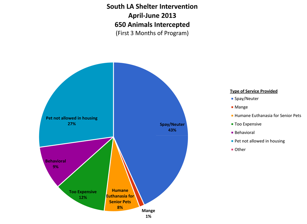 Downtown Dog Rescue Shelter Intervention Service