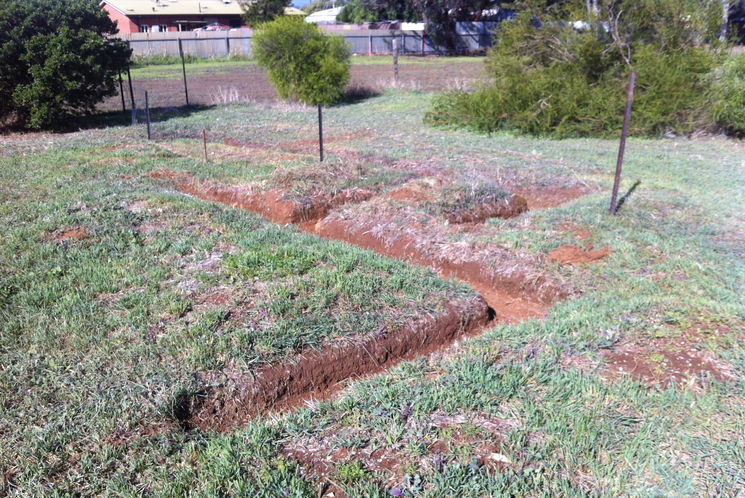 Earthdog den setup at SACA Park, Kilburn, Adelaide, South Australia.