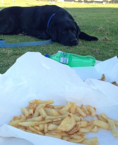 Indi mourns over the understanding that it's better for her to have 25% fewer chips.