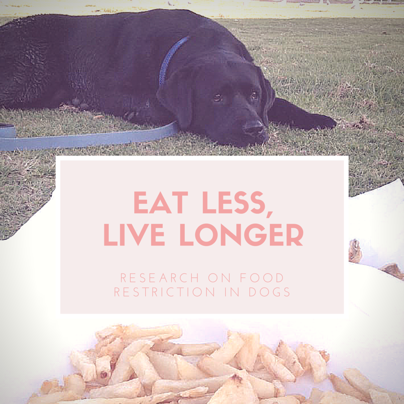 Eat less, live longer