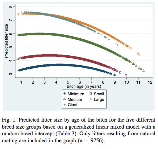 which dog determines size of litter