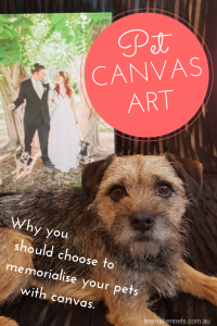 Canvas art - why you should choose to memoralise your pets with canvas.