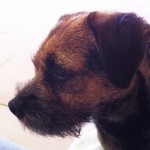 winnie-IMG_0026