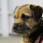 winnie-IMG_7588