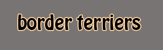Breeders of border terriers in South Australia.